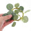 Green Eucalyptus Candle Rings Artificial Wreath for Home Decoration 4Pcs 3