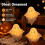 Glowing Ghost Table Decor,Luminous Ghost Up Ghost Ornament Led Ghosts Halloween Decor,Shelf Sitting 4
