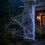 Halloween Spider Web Decoration 100g Stretchable Polyester For Party And Yard 3