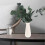 Immortal Eucalyptus Leaves Dried Leaf Bundle for Decoration Vase Filling 1 Bundle 4