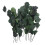Immortal Eucalyptus Leaves Dried Leaf Bundle for Decoration Vase Filling 1 Bundle 5
