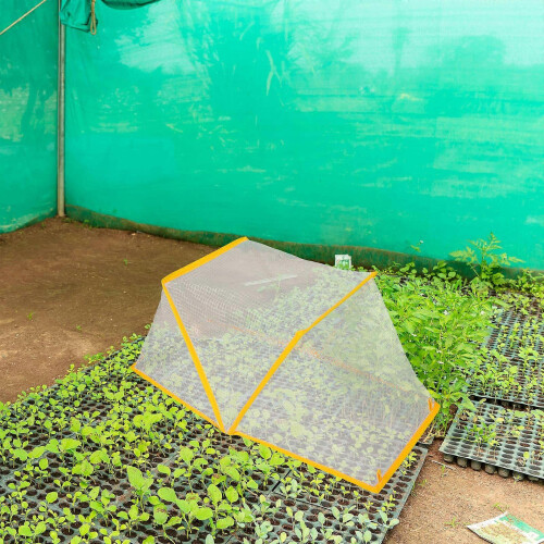 Foldable Garden Plant Protector for Vegetable Growth White Plastic 2