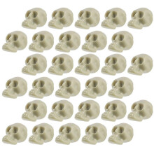 White Skeleton Head Mini Skulls for Halloween Decor with 50Pcs Set