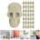White Skeleton Head Mini Skulls for Halloween Decor with 50Pcs Set 3