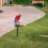 Gartensteckerlampe Papageienmotiv, 2er-Pack 4