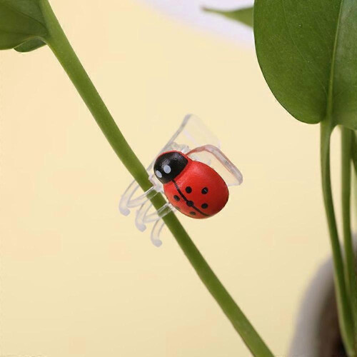 Plastic Plant Stem Clip for Garden Use with Ladybug Pattern 60Pcs 2