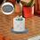 Flowerpot Tray Ceramic Base Tray for Storage 2Pcs Grey Material 3