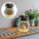 Ceramic Hamster Hideout for Small Pet Comfort Assorted Color 4