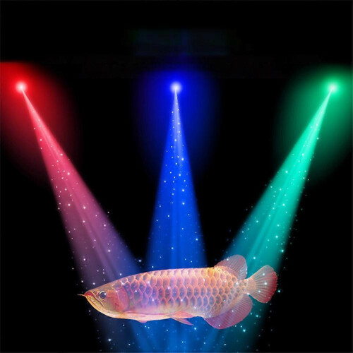 LED Spotlight USB Aquarium Lamp Submersible Light for Lighting Use 2