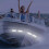Underwater Boat Light LED for Waterproof Stainless Steel Use 5