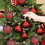 Christmas tree ornaments 100pcs ball decorations set 4