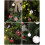 Christmas baubles collection 42 pieces red white decorations 2