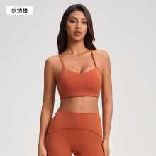 (Autumn rust orange, 4 (European size)) Women's Brushed Sports Bra, Hollow Back Workout Top, Shockproof Yoga Bra, Supportive Gym Running Activewear