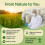 (90 Caps) Digestion Support Complex Vegan Capsules | NutraCore UK Made Formula 4
