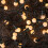 Premier 50 LED Pearl Berry Multi-Action Christmas String Lights in Warm White 4