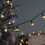Premier 50 LED Pearl Berry Multi-Action Christmas String Lights in Warm White 6