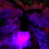 Premier 50 Rainbow LED Pearl Berry Christmas String Lights 6