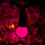 Premier 50 Rainbow LED Pearl Berry Christmas String Lights 8