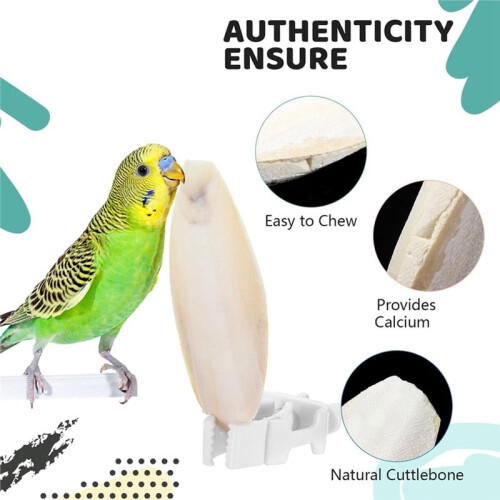 20 Pcs 3.9-4.5'' Cuttlebone for Parakeets Cuttlebone for Birds - Cuttlefish Bone Bulk Chew Toy Bird Bites Calcium Stone 1