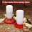 Automatic Chick Feeder & Waterer Kit - Top-Fill Design for Easy Refills, Plastic Poultry Drinker 5
