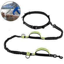 Dog Leash, With Adjustable Waist Belt For Running, Pet Supplies, Gift for Dog Owners, Small & Medium Dogs, Cute Pet Apparel, Daily Pet Care Essentials