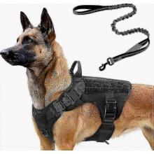 Harnais tactique et laisse élastique pour chien, style militaire, pour chiens de taille moyenne à grande, entraînement à la chasse
