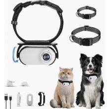 Collier caméra pour animaux de compagnie 1080p, étanche, réglable, rechargeable, pour chats et chiens
