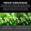 Solar Camera Lens Filter for Smartphone, Compatible with Solar Eclipse Viewing, Universal Clip-on Design, Easy Installation 5