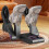 Electric Dryer compatible Shoe Boot Smart Foldable Electric Shoe Drying Machine compatible Boots 2