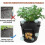 2-pack 10 Gallon Plant Grow Bag Window Covers 2