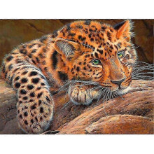 30x40cm Full Drill Leopard Diamond Art Kit