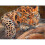 30x40cm Full Drill Leopard Diamond Art Kit 1