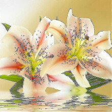 30x40 Cm Waterproof 5D Diamond Art Kit