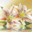 30x40 Cm Waterproof 5D Diamond Art Kit 1