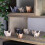 50-Piece Origami Cat Paper Kit 2