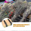 DIY Flower Pressing Kit Wooden Flower Press Tool for Plant Specimens 2Sets 5