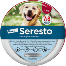 Pet Flea and Tick Treatment and Prevention Collar, 8 Months Protection, Pet Supplies, Pet Accessories, Gift for Pet Lovers, Indoor & Outdoor Use
