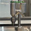 CNC Precision Milling Machine Mini Drill Press Benchtop Driller 220V DIY 8