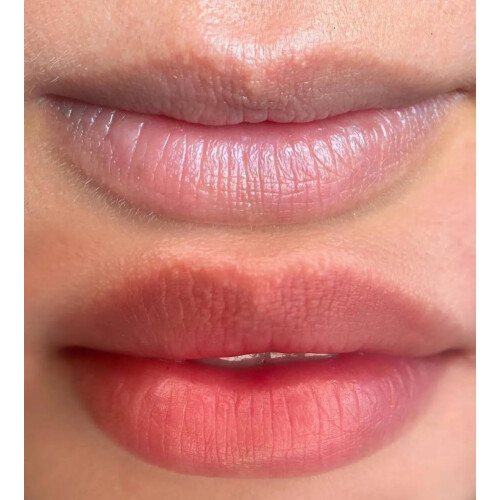 Hanafy No.3 Peach – Lip Pigment 2