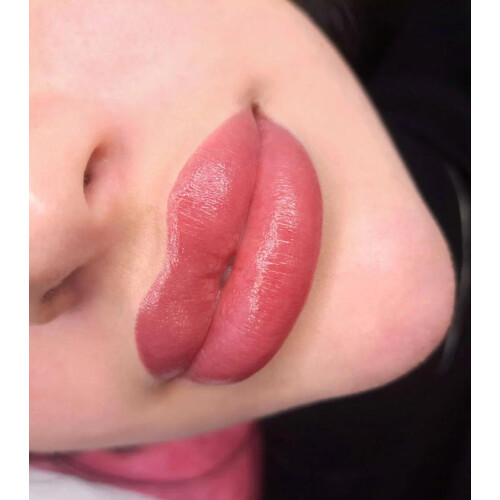 Hanafy No.4 Cherry – Lip Pigment 2