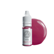 FACE Pigment – Paris (Hybrid Lip Pigment)