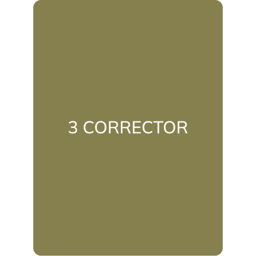 Hanafy Corrector No.3 Olive – Brow Corrector 2