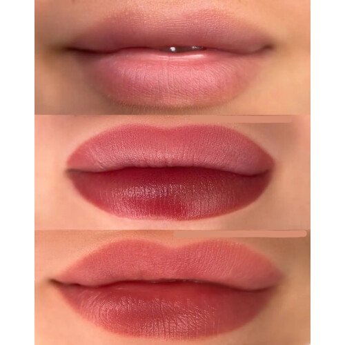 Hanafy Lip Pigment No.10 – Barberry 1