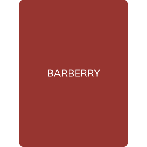 Hanafy Lip Pigment No.10 – Barberry 2
