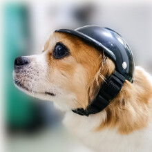 M Cats Pet Helmet, ABS Motorcycles Hat for Dogs, Adjustable Dog Helmet with Vents, Dog Safety Cap, for Small Dogs, Pet Supplies, Gift for Dog Owners