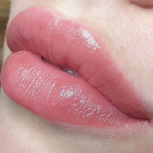AS Company Nude 6 ml – Lip Pigment 1