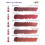 Hanafy Lips Set – 10 Hybrid Pigments 10