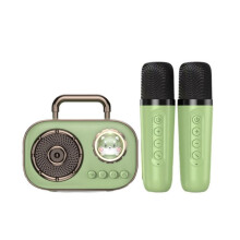 Tragbares Kabelloses Karaoke-System mit Zwei Mikrofonen, -PA-Lautsprecher, KTV-System, HiFi-Stereo-Sound B