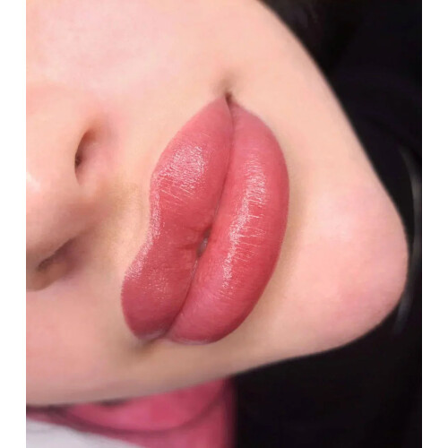 Hanafy Lips Set – 10 Hybrid Pigments 2