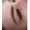 Hanafy Brows Set – Main Collection 4